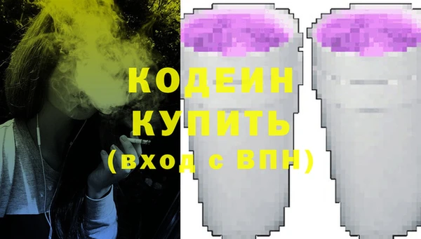 СК Кострома