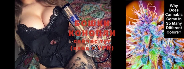 СК Кострома