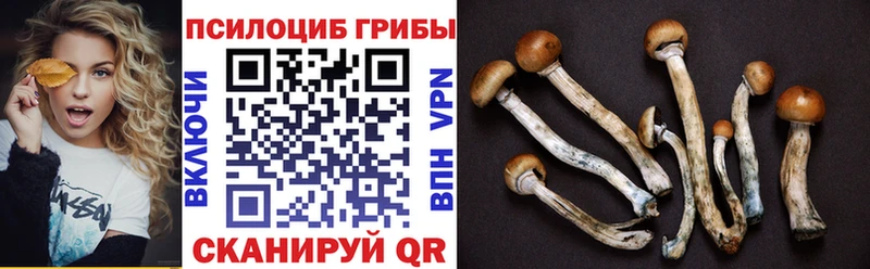 Псилоцибиновые грибы MAGIC MUSHROOMS  Жуковка 