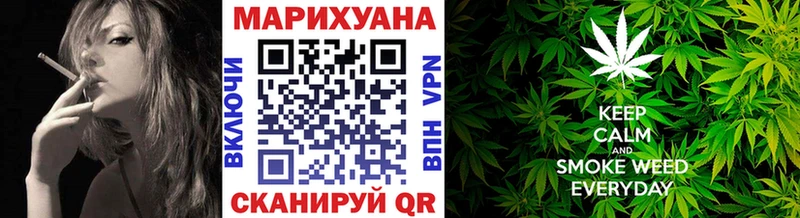 Конопля сатива  Жуковка 